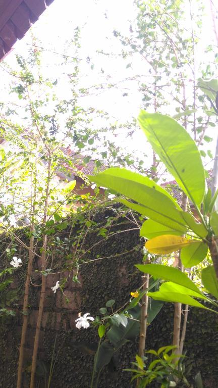 Santa Fe Homestay & Warong 아메드 외부 사진